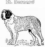 Bernard Saint Coloring Pages Atozkidsstuff St Printable Template Dog sketch template