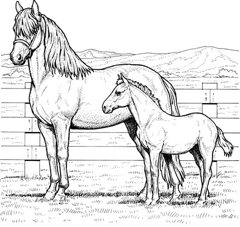 horse coloring pages mantappu colors