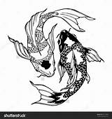 Yang Coloring Carp Koi Yin Ying Pages Fish Illustration рисунки Tattoo Designlooter Vector Drawing Printable контурные Pez Shutterstock тату Lightbox sketch template