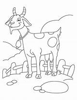 Fazenda Bode Kolorowanki Cabras Ziege Koza Coloring4free Kozy 2069 Kolorowanka Druku Ausmalbild Goats Tudodesenhos Drukuj sketch template