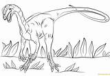 Jurassic Dilophosaurus Park Coloring Pages Color Printable Dinosaurs Online sketch template