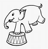 Circo Elephant Elefante Imprimir Elefantes sketch template
