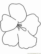 Coloring Hibiscus Pages Flowers Flower Printable Popular sketch template