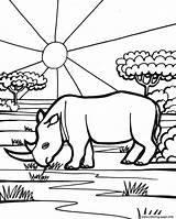 Coloring Animal Rhino Pages Printable sketch template