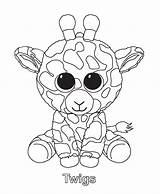 Beanie Coloring Pages Boo Ty Visit Baby Sheets Birthday sketch template
