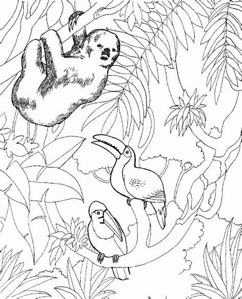 zoo coloring pages zoo animal coloring pages zoo coloring pages