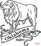 Oklahoma Coloring Buffalo Pages Printable Drawing Printables Bills State Sheets History Color Crafts Clipart Symbols Flag Paper Tattoo Skull Dolls sketch template