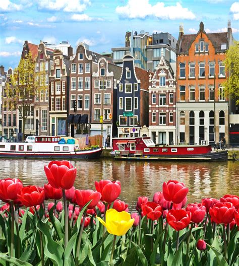 amsterdam tours fun facts about amsterdam and netherlands nordic experience