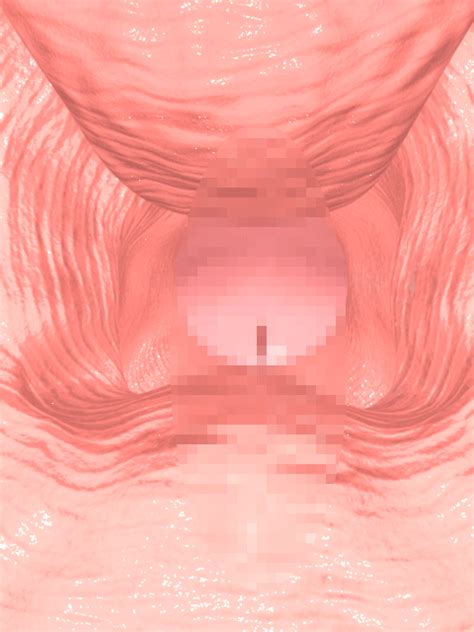 Censored Pussy Penis Sex Vaginal Wet  Penetration 3d