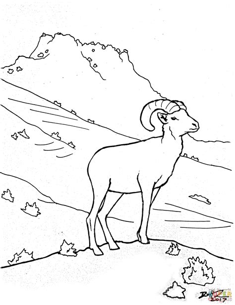 bighorn sheep  zion coloring page  printable coloring pages