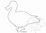 Duck Template Printable Easter Templates Printables Patterns Coloringpage Eu Felt Craft Feather Choose Board sketch template
