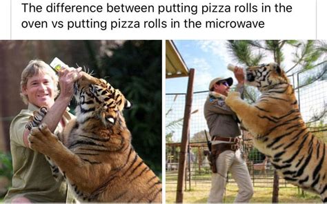 Tiger King Memes Are Taking The Internet By Storm And We