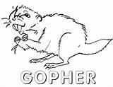 Gopher Coloring Pages sketch template