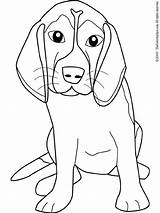 Beagle Coloring Pages Dog Getcolorings Lovely Printable Color sketch template