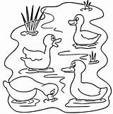 Pond Coloring Ducks Pages Printable Animals Fish Drawing Kids sketch template