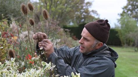 lynda hallinan britain s great dixter celebrity gardener has ideas to help sex up your garden