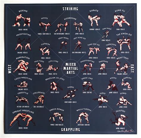 visual mixed martial arts  style guide infographictv number  infographics data