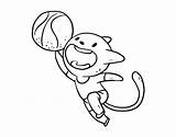 Cat Basket Coloring Basketball Coloringcrew Hoop Ball Human Dibujo sketch template