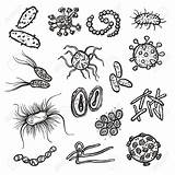 Bacteria Drawing Cell Virus Sketch Getdrawings sketch template