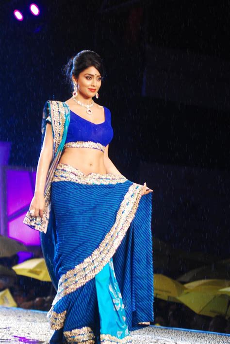 Shriya Saran Hot In Blue Saree Trionic 88 Tube Sex