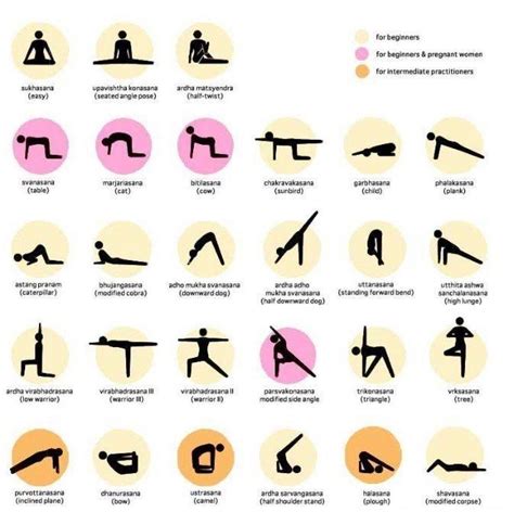 pin           perfect body  day yoga  day yoga