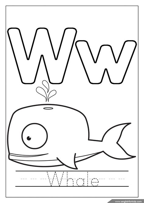 whale coloring pages png  file