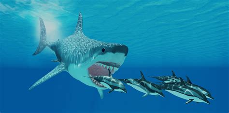 Giant Monster Megalodon Sharks Lurking In Our Oceans Be