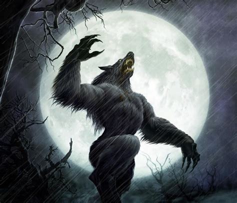 universal starts filming  untitled werewolf thriller filmofilia