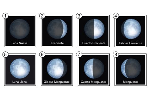 fases de la luna en el mes de marzo  imagesee