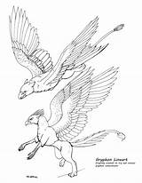 Griffin Gryphon Lineart Reference sketch template