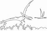 Pterodactyl Coloringpagesfortoddlers sketch template