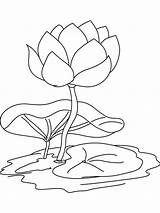 Lily Coloring Water Flower Pages Pad Outline Drawing Flowers Lilies Color Pond Kids Printable Print Getdrawings Recommended Getcolorings Popular sketch template