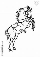 Cavalli Disegno Portalebambini sketch template