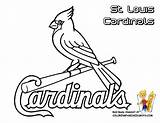 Cardinals Louis Softball Yescoloring Gateway Stl Cubs Neo Continue sketch template