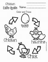 Cycle Chicken Life Toddlers Preschool Printable Blogthis Email Twitter Printables 8k Followers sketch template