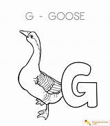Goose Coloring Date sketch template