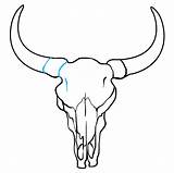Skull Bull Draw Drawing Line Easy Step Horn sketch template