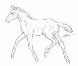 Foal Horse Drawing Friesian Coloring Pages Deviantart Drawings Line Chronically Foals Getdrawings Cute Favourites Add Beautiful sketch template