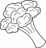 Vegetable Coloring Pages Broccoli sketch template