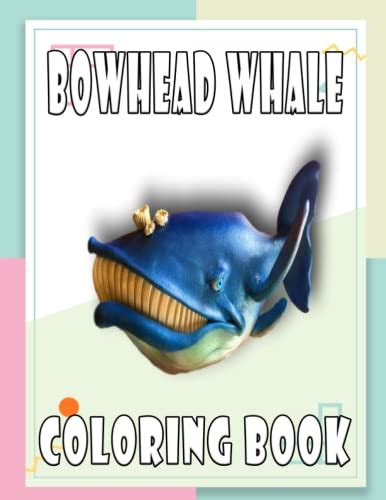 bowhead whale coloring book awesome coloring pages   favorite