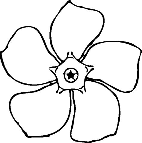 flower images  color coloring pages coloring pages  kids