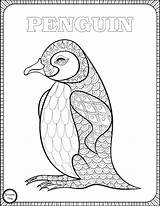 Penguin Coloring Pages Animal Colouring Mandala Drawing Adults Play Book Sheets Visit sketch template