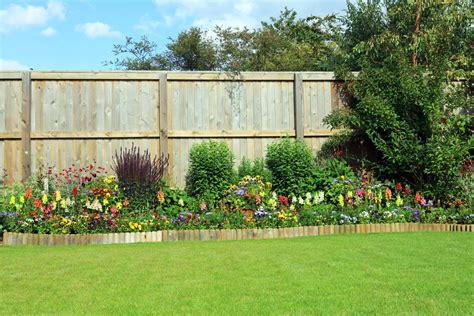 simple fence  landscaping ideas   budget plant  number