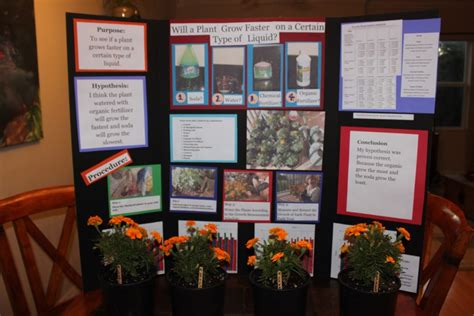 science fair project   plant grow faster    type