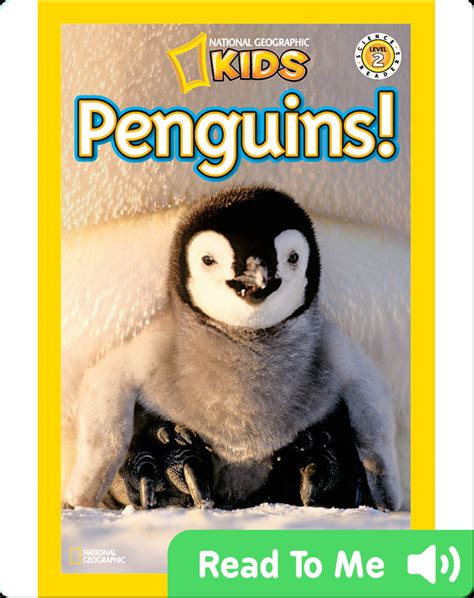 national geographic readers penguins childrens book  anne