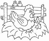 Chicken Coloring Pages Printable Chickens Fried Colouring Sheets Minecraft Drawing Color Print Preschool Hen Kids Animals Crafts Farm Cute Keeping sketch template