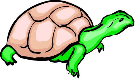 turtle cartoon pictures clipart