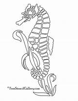 Seahorse Stained Stencils Freestencilgallery Pumpkin Etching Seahorses sketch template