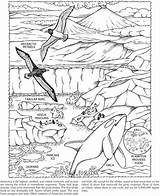 Antarctica Coloring Pages Adult Book Dover Colouring Pole South Publications Sheets Doverpublications Kids Race Search Again Bar Case Looking Don sketch template