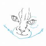 Eyes Cat Draw Drawing Step sketch template